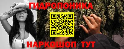 стаф Будённовск