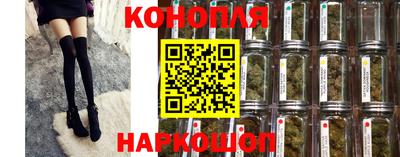 стаф Будённовск