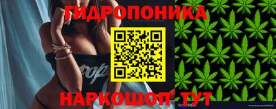 jwh Бугуруслан