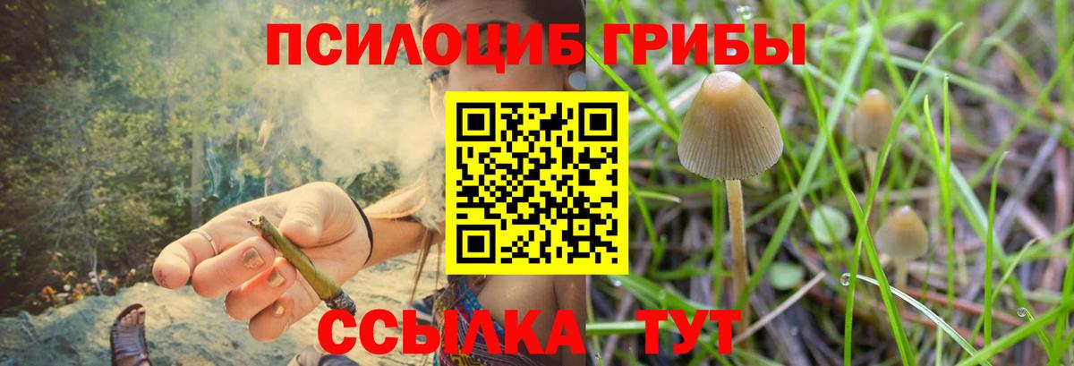 Галлюциногенные грибы мицелий Сунжа